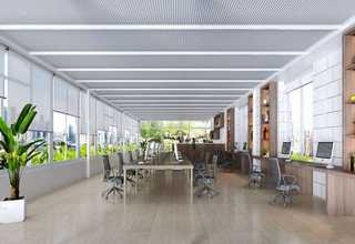 上海斗鸟鸟食制造商