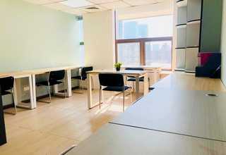 网带炉有哪些品牌