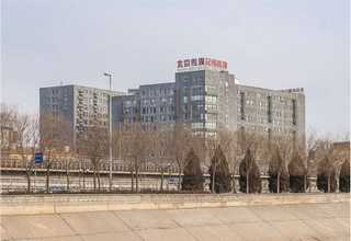 江苏移动植物墙植物