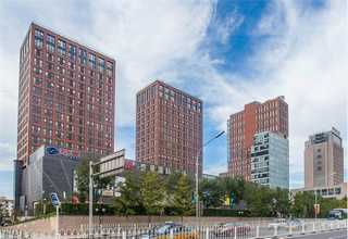 徐州大型氧气源臭氧消毒机