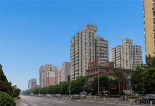 云南ic固定胶水哪家好